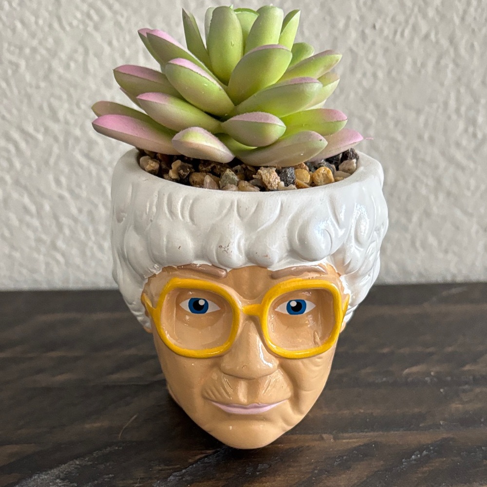 Quirky The Golden Girls Sophia Ceramic Planter with Succulent